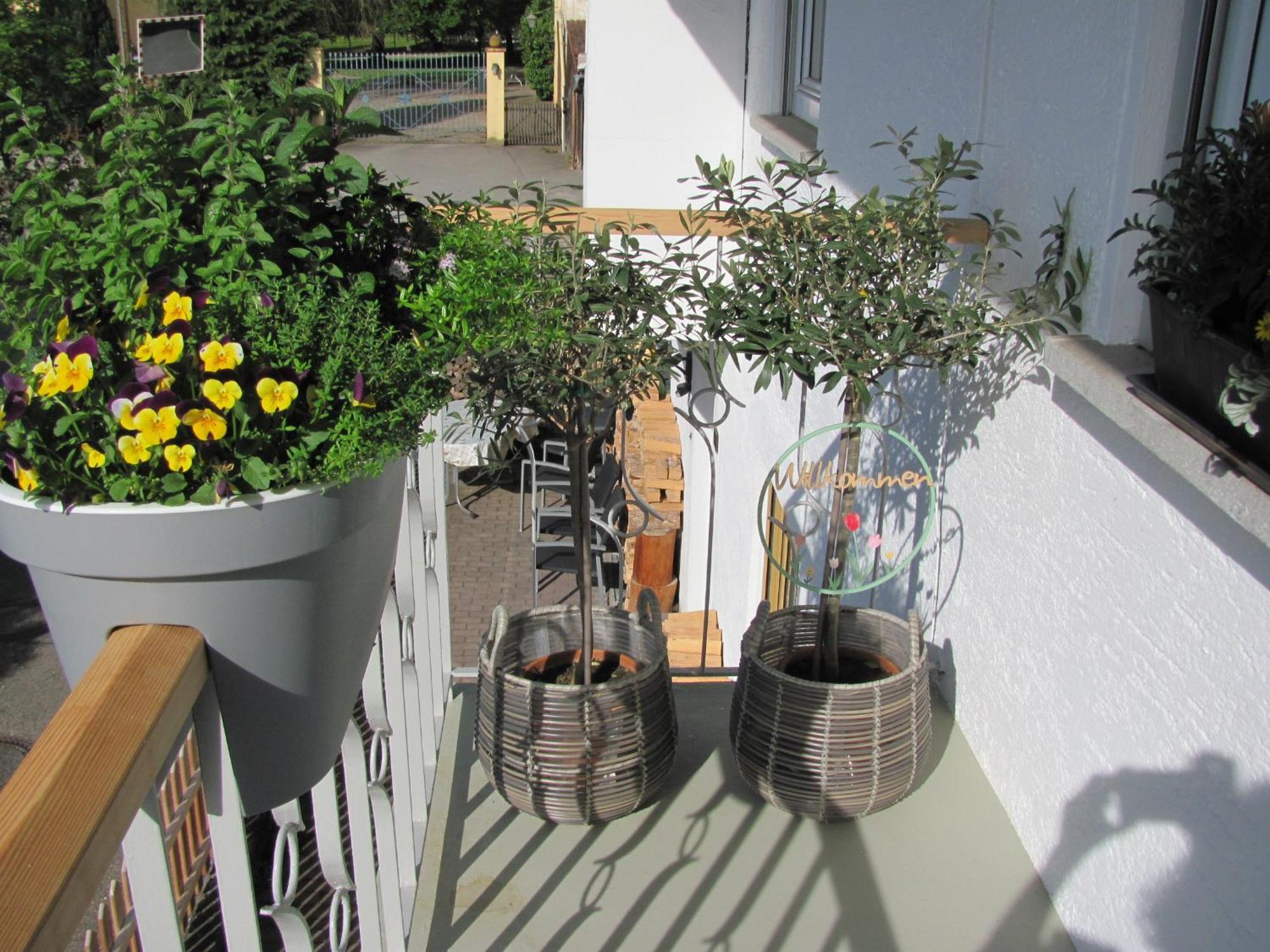 Gemütliches Balkonzimmer: Ruhige Sonnenlage mit WLAN und Flughafennähe Trunkelsberg Exterior photo